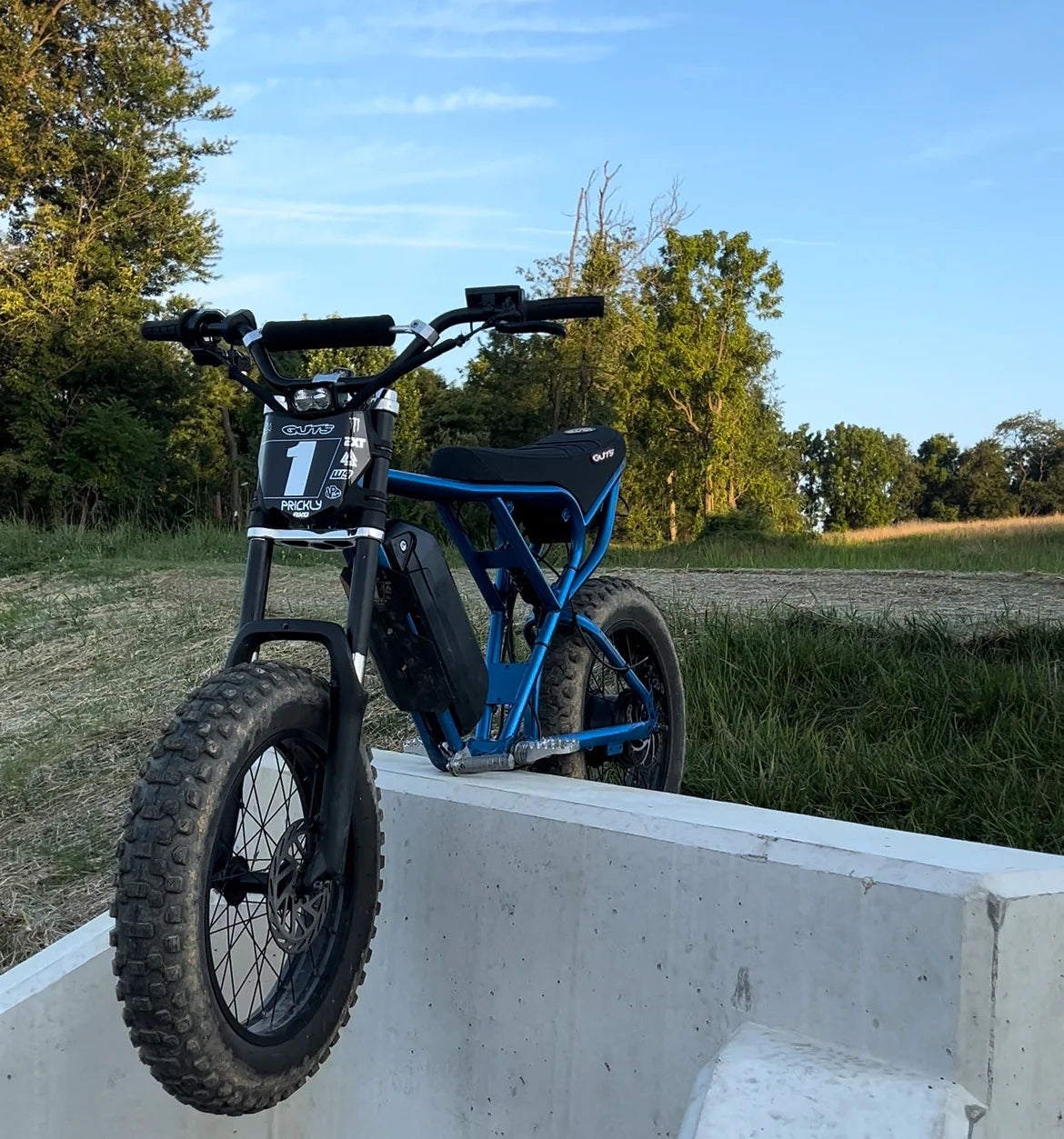 Baja Light for ridstar – yzmods
